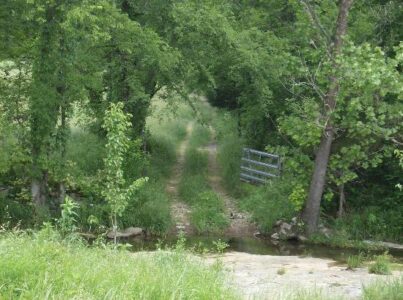 Girl Out of Water: Country Directions Image